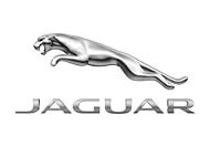 jaguar jaguar